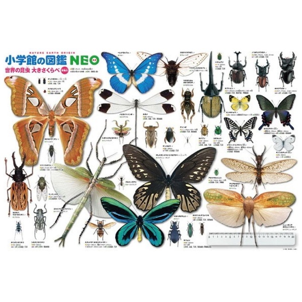 ジグソーパズル B61-423 小学館の図鑑NEO 世界の昆虫大きさ比べ 実物サイズ