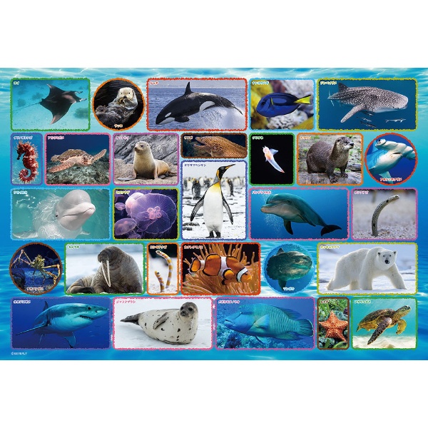 学べるジグソー 100-042 水族館